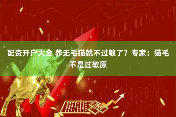 配资开户大全 养无毛猫就不过敏了？专家：猫毛不是过敏原
